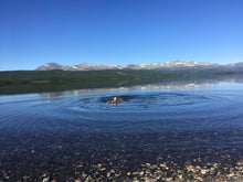 Load image into Gallery viewer, Embracing autumn: 16 - 19th Oct, at Nøsen Mountain Lodge (booking is done directly with Nøsen)