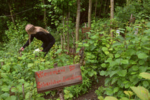 Load image into Gallery viewer, 'Yoga, Hiking & Work Exchange Program' -30th May - 10th June, 2026 (11 nights/12 days)