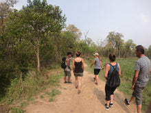 Load image into Gallery viewer, yoga safari chitwan national park nepal