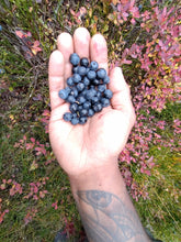 Load image into Gallery viewer, 'Yoga, Hiking & Work Exchange Program' -30th May - 10th June, 2026 (11 nights/12 days)