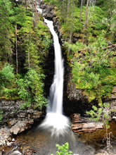 Load image into Gallery viewer, ‘Disconnect, relax and immersion into nature yoga retreat’ 5th - 11th July, 2026 (7d/6n)