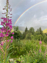 Load image into Gallery viewer, 'Immersion into nature - yoga retreat’ 4th - 6th September, 2026 (3d/2n)