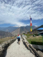 Load image into Gallery viewer, Nepal Adventure 2026, Yoga ~ Trekking ~ Wildlife ~ Nature ~ Culture / 7th - 21st March