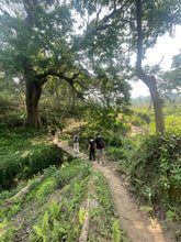 Load image into Gallery viewer, Nepal Adventure 2026, Yoga ~ Trekking ~ Wildlife ~ Nature ~ Culture / 7th - 21st March