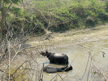 Load image into Gallery viewer, Nepal Adventure 2026, Yoga ~ Trekking ~ Wildlife ~ Nature ~ Culture / 7th - 21st March