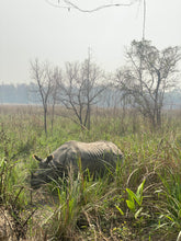 Load image into Gallery viewer, Nepal Adventure 2026, Yoga ~ Trekking ~ Wildlife ~ Nature ~ Culture / 7th - 21st March