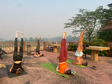 Load image into Gallery viewer, Nepal Adventure 2026, Yoga ~ Trekking ~ Wildlife ~ Nature ~ Culture / 7th - 21st March