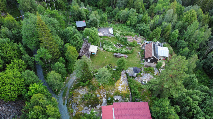 130 hrs. course: A deep dive - Yoga, Nature & Regenerative living