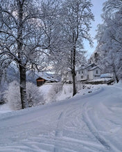 Load image into Gallery viewer, ‘The Art of Wintering, Yoga Retreat’ 13th - 15th November 2026, Norway