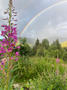 Norway: ‘Disconnect, relax and immersion into nature yoga retreat’ 15th - 20th July (6d/5n)