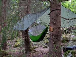 NEW COURSE 2026, 15th - 30th August - 130 hrs. course: A deep dive - Yoga, Nature & Regenerative living