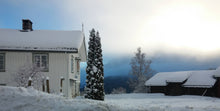 Load image into Gallery viewer, ‘The Art of Wintering, Yoga Retreat’ 13th - 15th November 2026, Norway