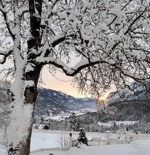Load image into Gallery viewer, ‘The Art of Wintering, Yoga Retreat’ 13th - 15th November 2026, Norway